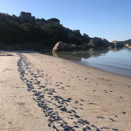 Maison Les Pieds Dans L'eau