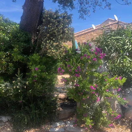 Maison Les Pieds Dans L'eau Prázdninový dům Porto-Vecchio (Corsica)